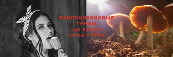 МДПВ Липки
