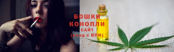МДПВ Липки