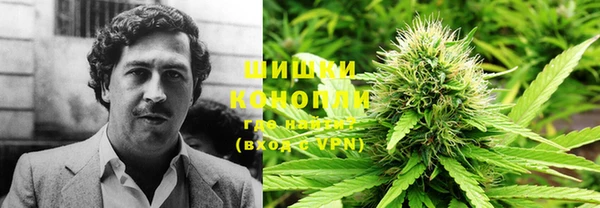 МДПВ Липки
