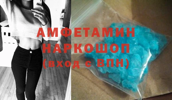 гидра Долгопрудный