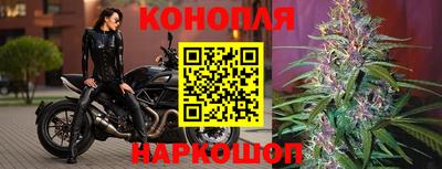 прущие крисы Беслан