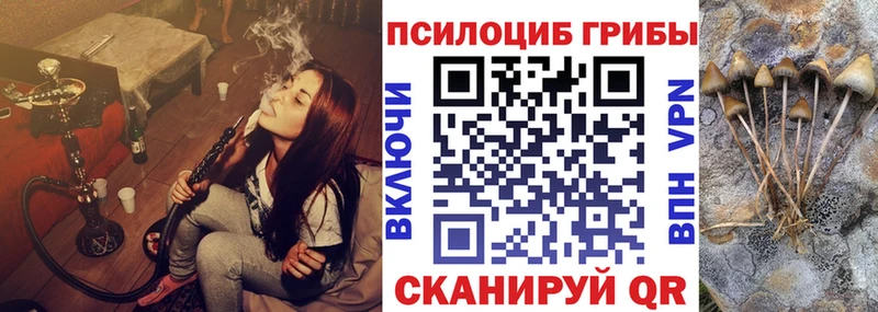 где продают наркотики  KRAKEN ссылки  Псилоцибиновые грибы Magic Shrooms  Кохма 